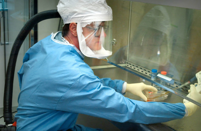 News Articles Application Forum About Login For developers Coronavirus may cause Q1 smartphone sales in China to decrease by 50%