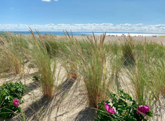 Internet mobilny w nadmorskich miejscowościach – raport RFBENCHMARK