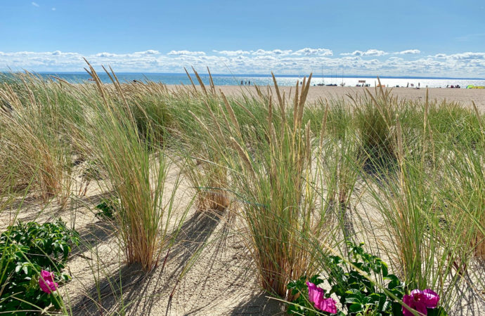 Internet mobilny w nadmorskich miejscowościach – raport RFBENCHMARK